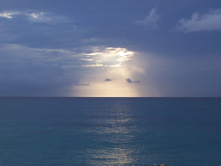 Exploring Nature's Essence: The Core of Eco-Consciousness